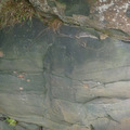 Clifton Park, Salford