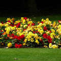 Longford Park, Trafford, Manchester